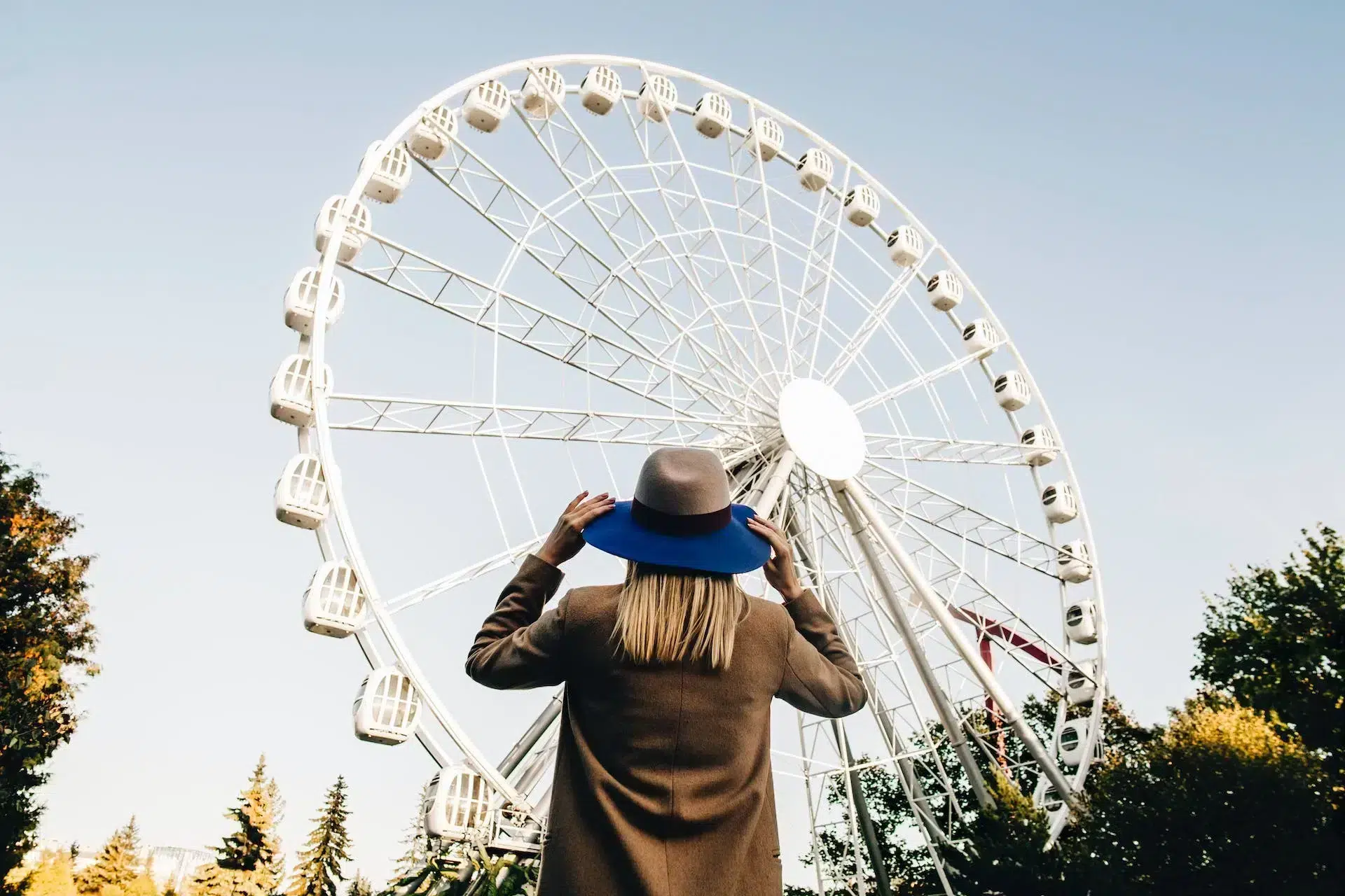 grande roue parc attractions